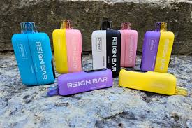 REIGN BAR PALETTE 50K DISPOSABLE VAPE 2IN1 – mk57 vape